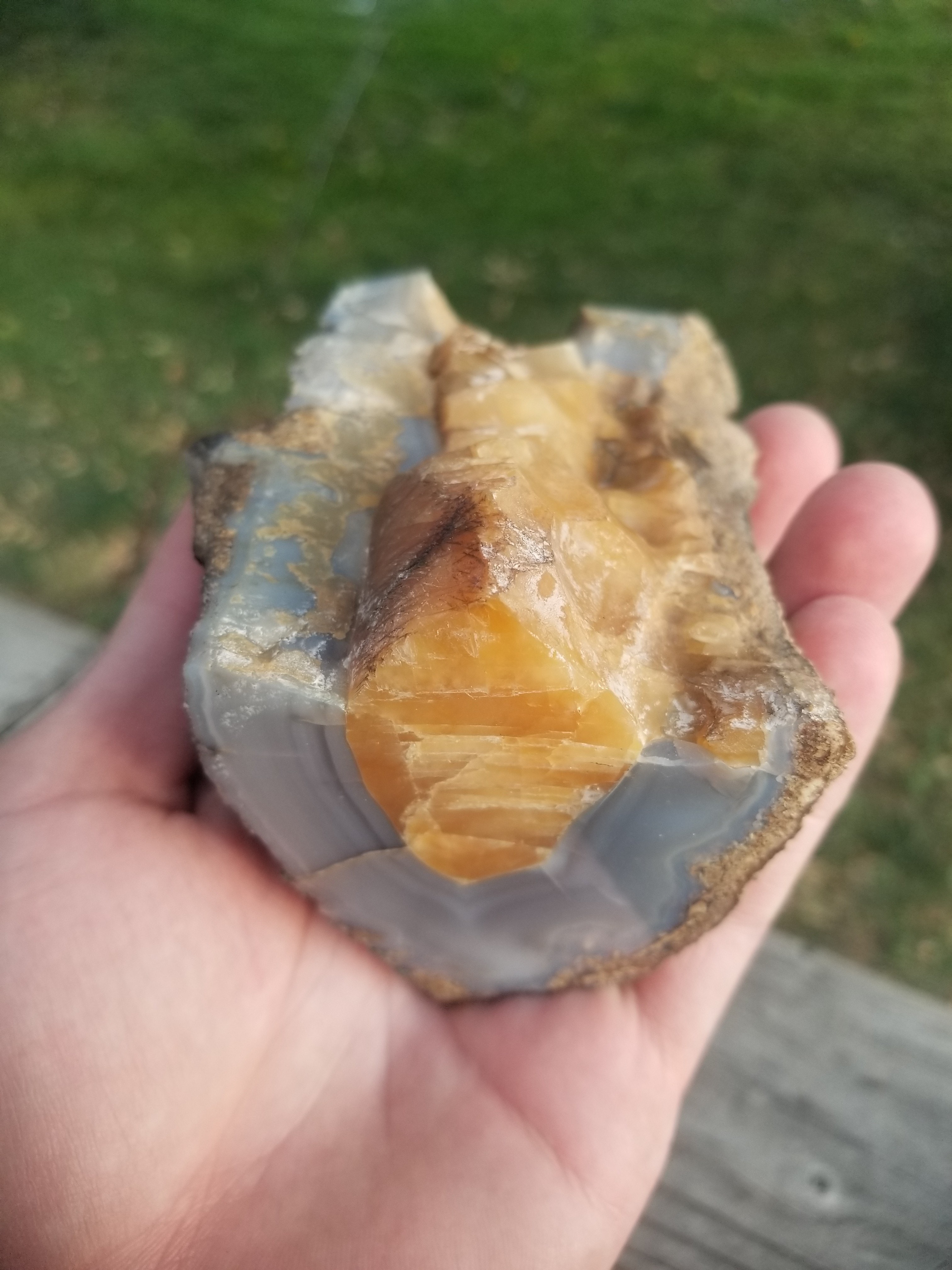 Nice Polished Blue Forest Petrified Wood Limb Cast 1/2 Round Large Golden Calcite Formations - Wyoming Agatized Wood Eden Valley 1.5Lb