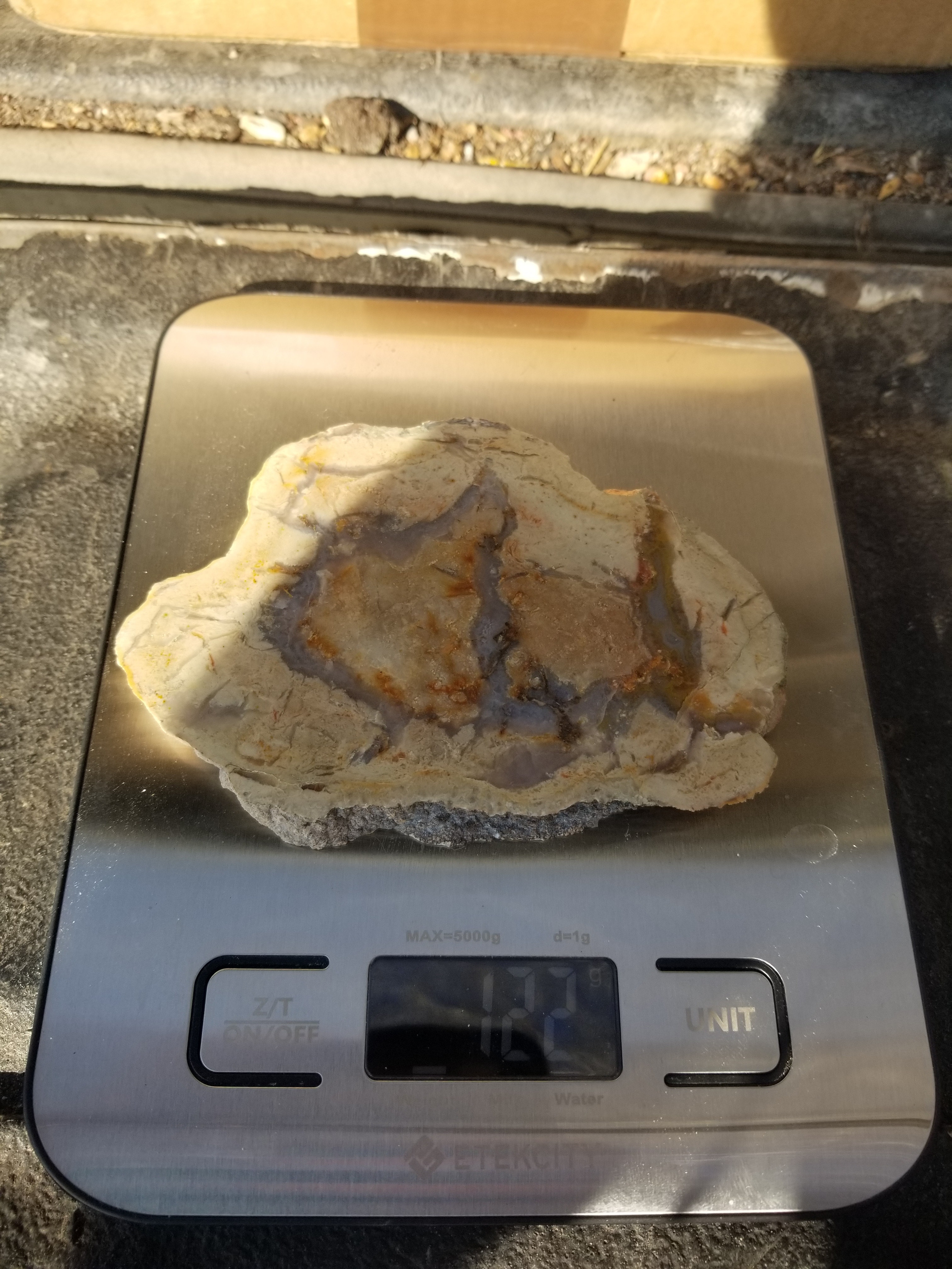 Nice Polished Coprolite Slab Specimen Fossilized Agatized Dinosaur Poop Dung Natural 122g