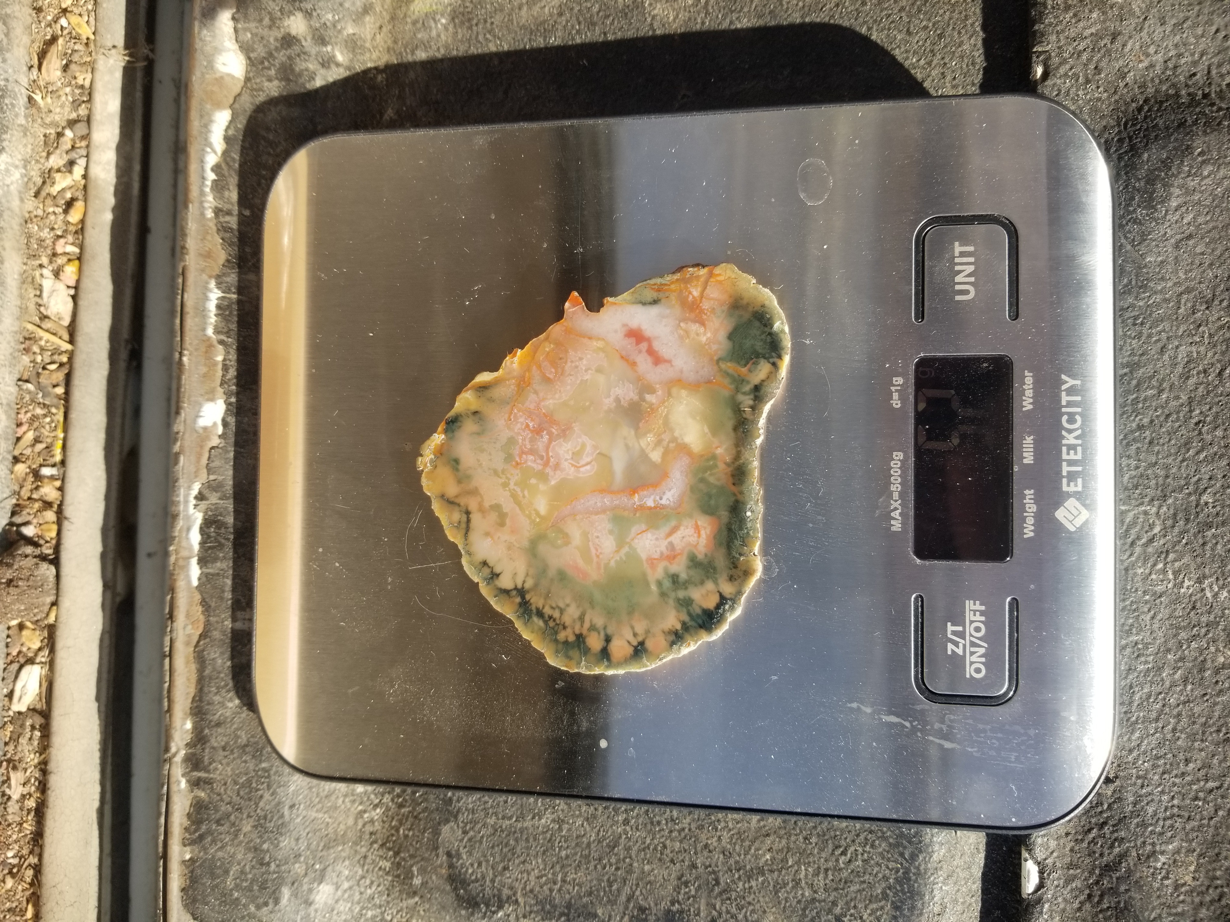 Nice Polished Coprolite Slab Specimen Fossilized Agatized Dinosaur Poop Dung Natural 52g