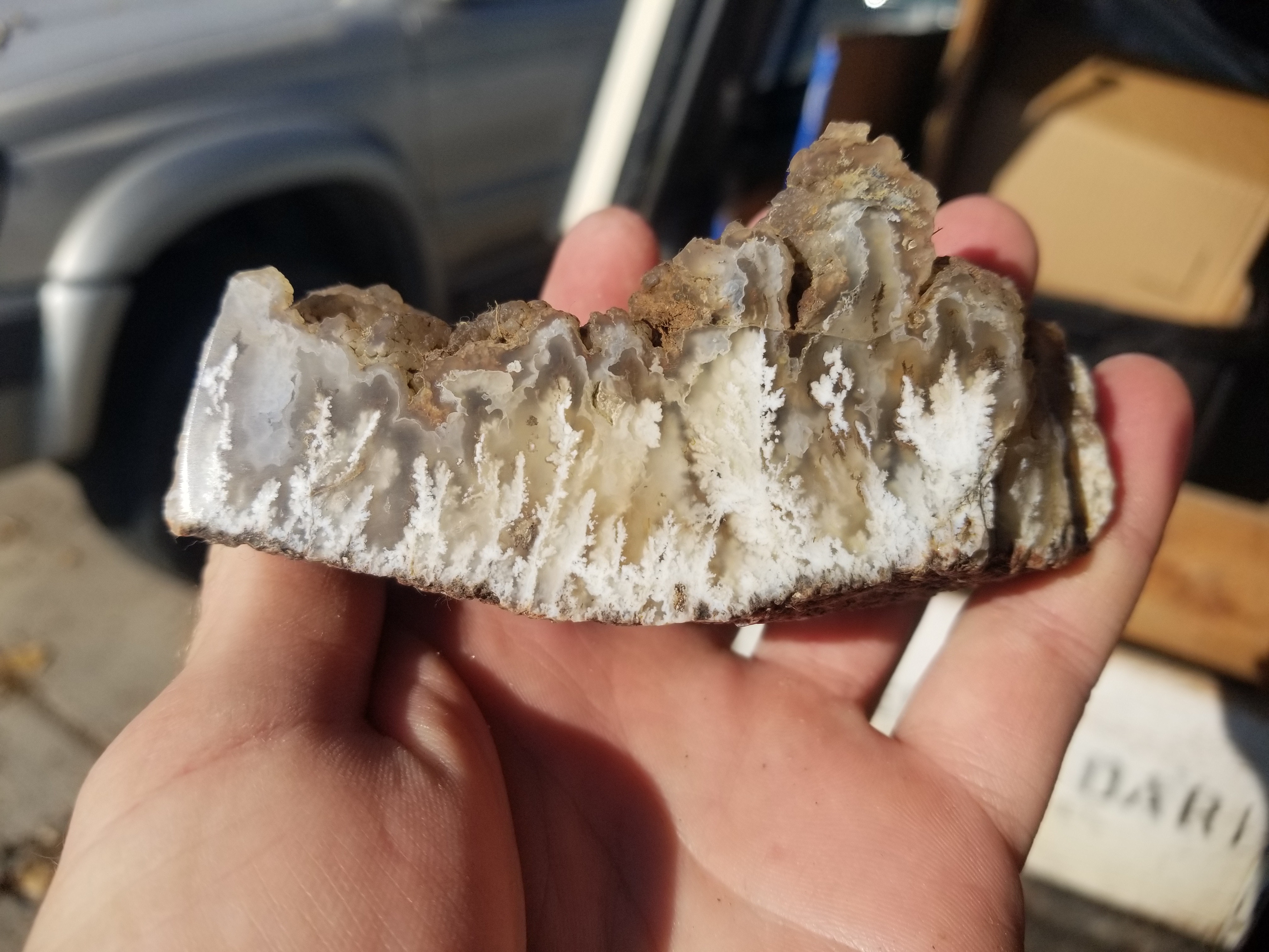 Rare Polished Mojave Desert Angel Wing White Moss Plume Agate Chalcedony Display Specimen 258g