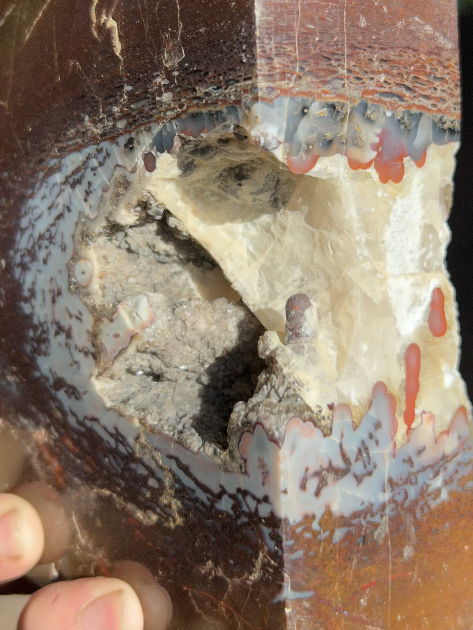 Beautiful Large Polished Agatized Dinosaur Gem Bone Section w/Crystal Core - 5.6lbs Jurassic, CO