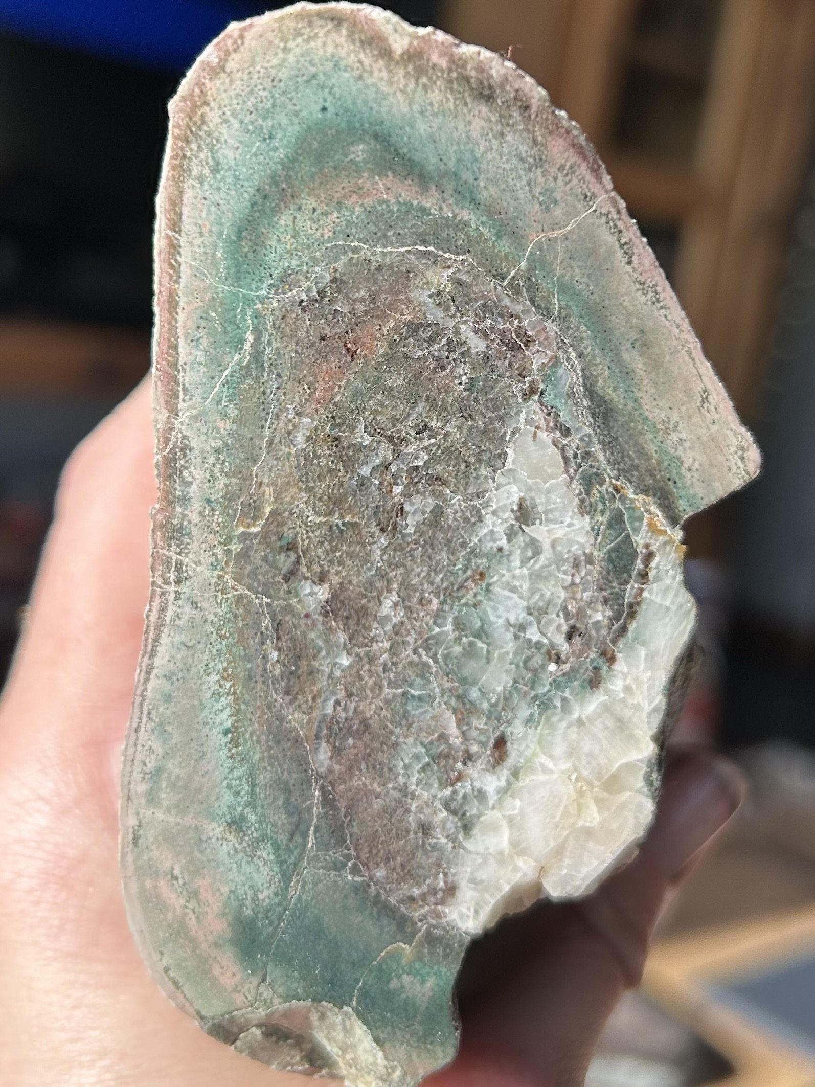 Green Agatized Dinosaur Gem Bone - 1.8lbs